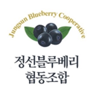 JeongSeon Blueberry